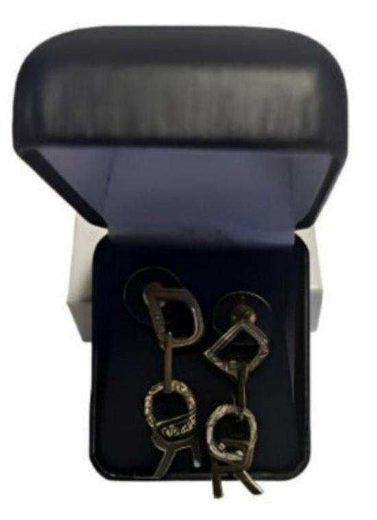 Luxury Pendant Earrings
